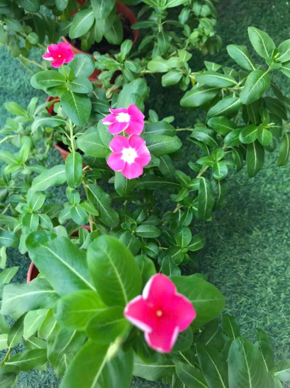 Lucky Home Nha Trang Luaran gambar